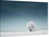 Boom in het sneeuwlandschap - Foto op Canvas - 150 x 100 cm