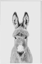 JUNIQE - Poster in kunststof lijst Donkey Classic -30x45 /Wit & Zwart