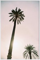 JUNIQE - Poster met kunststof lijst Palm Trees -13x18 /Roze