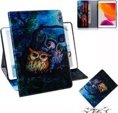 Voor iPad 10.2 / 10.5 / Air 2019 3D Gekleurde Tekening Horizontale Flip Leren Case met Houder & Kaartsleuven & Portemonnee (Olieverf Uil)