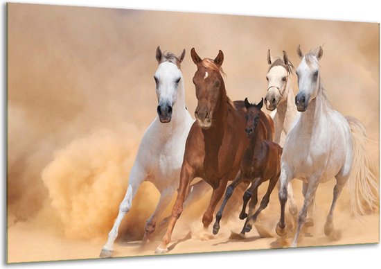 Schilderij Op Canvas Paard - Bruin, Wit, Crème - 120x70cm 1Luik - Foto Op Canvas - GroepArt 6000+ Schilderijen 0p Canvas Art Collectie - Wanddecoratie - Woonkamer - Slaapkamer - Canvas Print