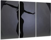 GroepArt - Schilderij -  Vrouw - Zwart, Grijs, Wit - 120x80cm 3Luik - 6000+ Schilderijen 0p Canvas Art Collectie