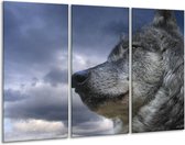 GroepArt - Schilderij -  Wolf - Grijs, Blauw, Wit - 120x80cm 3Luik - 6000+ Schilderijen 0p Canvas Art Collectie