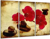 GroepArt - Schilderij -  Orchidee - Rood, Bruin, Geel - 120x80cm 3Luik - 6000+ Schilderijen 0p Canvas Art Collectie