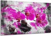 Schilderij Op Canvas Orchidee - Roze, Grijs, Wit - 120x70cm 1Luik - Foto Op Canvas - GroepArt 6000+ Schilderijen 0p Canvas Art Collectie - Wanddecoratie - Woonkamer - Slaapkamer - Canvas Print