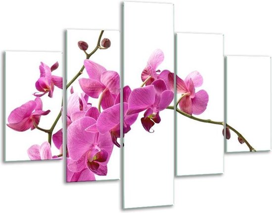 Glasschilderij -  Orchidee - Roze, Wit - 100x70cm 5Luik - Geen Acrylglas Schilderij - GroepArt 6000+ Glasschilderijen Collectie - Wanddecoratie- Foto Op Glas