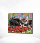 Painting Expert® Schilderen op nummer Volwassenen - Schilderen op nummer Kinderen - Puppy en Kitten - 40x50cm - Exclusief Lijst (24 kleurtjes)