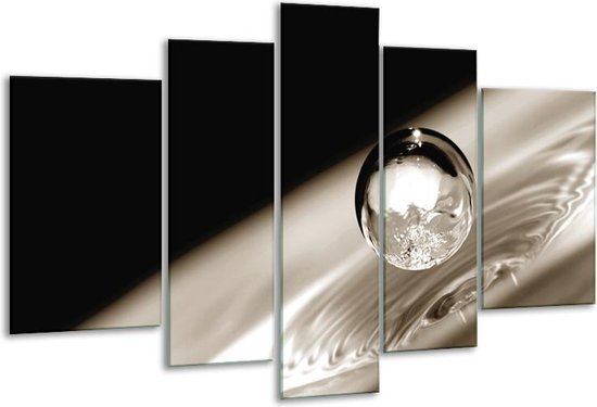 Glasschilderij Macro - Sepia, Zwart - 170x100cm 5Luik - Foto Op Glas - Geen Acrylglas Schilderij - 6000+ Glasschilderijen Collectie - Wanddecoratie