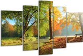 Peinture sur verre d'automne | Orange, marron, vert | 170x100cm 5 Liège | Tirage photo sur verre |  F006117