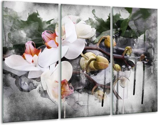 Glasschilderij Orchidee - Wit, Grijs - 120x80cm 3Luik - Foto Op Glas - Geen Acrylglas Schilderij - GroepArt 6000+ Glas Art Collectie - Maatwerk Mogelijk