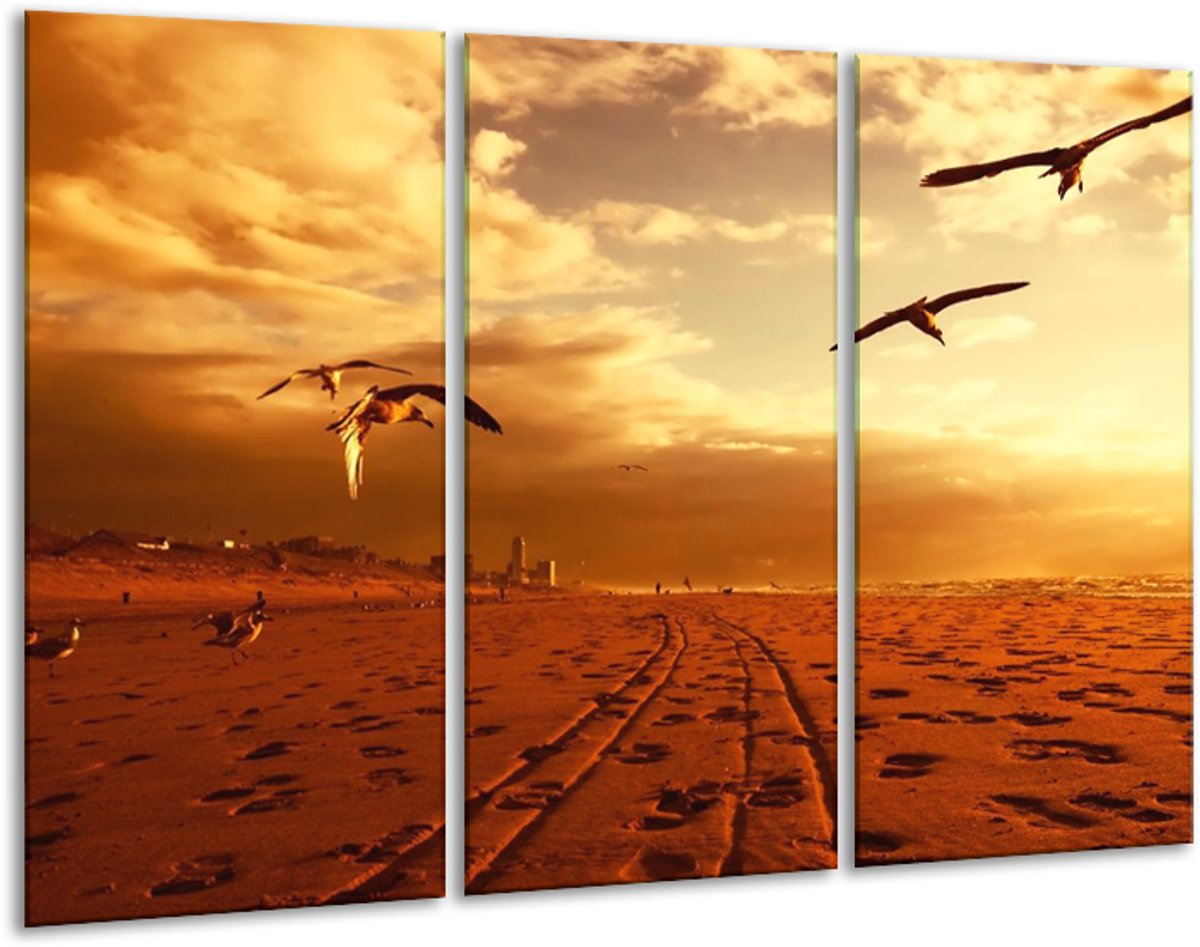 Glasschilderij Vogels - Goud, Geel, Oranje - 120x80cm 3Luik - Foto Op Glas - Geen Acrylglas Schilderij - GroepArt 6000+ Glas Art Collectie - Maatwerk Mogelijk