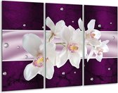 Peinture sur verre d'orchidée | Blanc, violet | 120x80cm 3 Liège | Tirage photo sur verre |  F005617