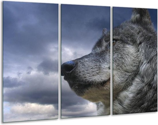 Glasschilderij Wolf - Grijs, Blauw, Wit - 120x80cm 3Luik - Foto Op Glas - Geen Acrylglas Schilderij - GroepArt 6000+ Glas Art Collectie - Maatwerk Mogelijk