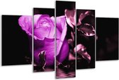 Peinture sur verre rose | Violet, blanc, noir | 170x100cm 5 Liège | Tirage photo sur verre |  F003879