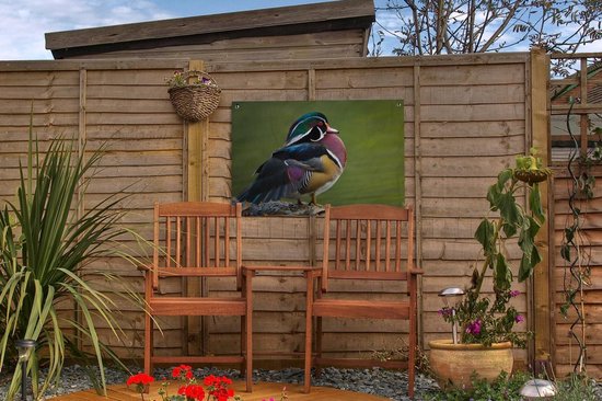 Un canard de Caroline au bord d'un étang Affiche de jardin 60x40 cm - petit - Toile de jardin / Toile d'extérieur / Peintures pour l'extérieur (décoration de jardin)