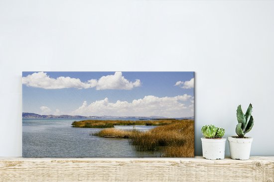 Roseaux au lac Titicaca 40x20 cm - Tirage photo sur toile (Décoration murale salon / chambre)