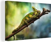 Canvas schilderij 150x100 cm - Wanddecoratie Groene kameleon op een tak - Muurdecoratie woonkamer - Slaapkamer decoratie - Kamer accessoires - Schilderijen
