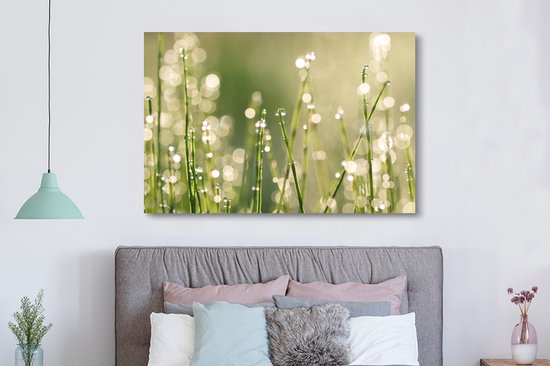 Canvas schilderij 150x100 cm - Wanddecoratie Vroege dauw op grassprieten - Muurdecoratie woonkamer - Slaapkamer decoratie - Kamer accessoires - Schilderijen