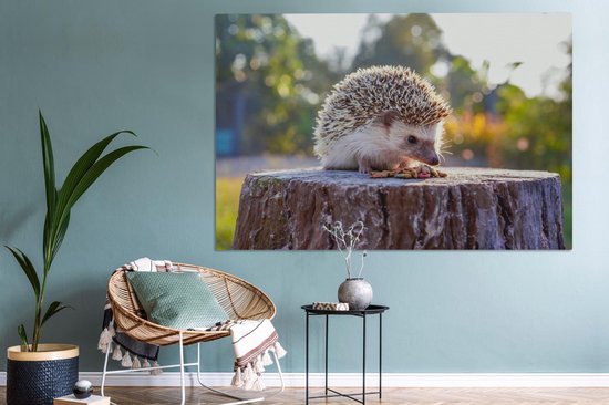 Tableau sur toile Manger un hérisson - 150x100 cm - Décoration murale