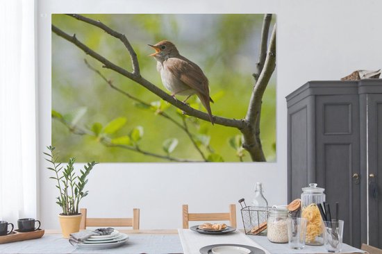 Tableau sur toile Rossignol chantant sur une branche - 150x100 cm - Décoration murale