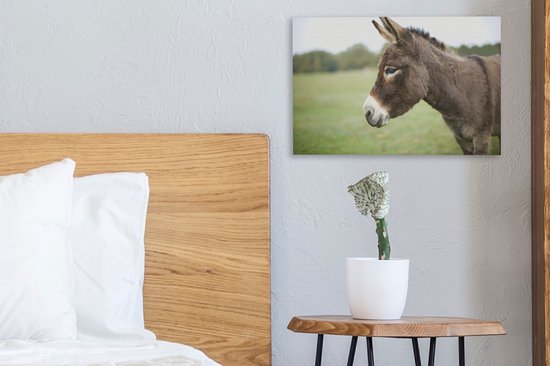 Gros plan âne nain 30x20 cm - petit - Tirage photo sur toile (Décoration murale salon / chambre) / animaux sauvages Peintures sur toile