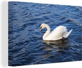 Cygne en Roumanie 180x120 cm - Tirage photo sur Toile (Décoration murale salon / chambre) / Animaux sauvages Peintures sur toile XXL / Groot format!
