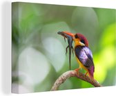 Kingfisher nain avec proie toile 2cm 140x90 cm - Tirage photo sur toile (Décoration murale salon / chambre)