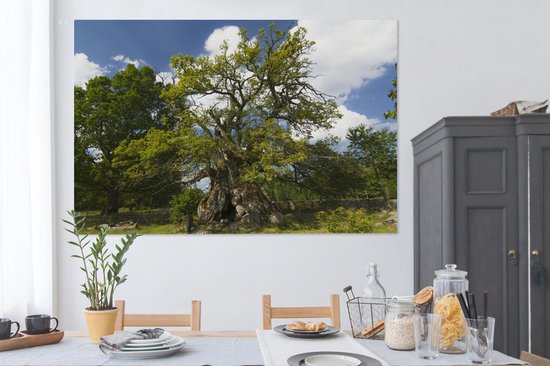 Tableau sur toile 150x100 cm - Décoration murale Le chêne de Rumskulla dans le parc national de Norra Kvill - Décoration murale salon - Décoration chambre - Accessoires chambre - Peintures