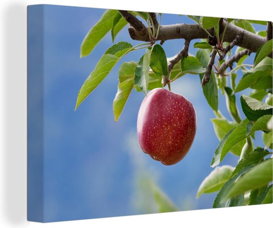 Pomme rouge dans un pommier sur toile 2cm 30x20 cm - petit - Tirage photo  sur toile... | bol.com