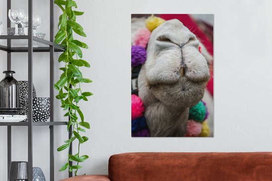 Gros plan d'une toile 2cm dromadaire 60x90 cm - impression photo sur toile peinture Décoration murale salon / chambre à coucher) / Animaux sauvages Peintures Toile