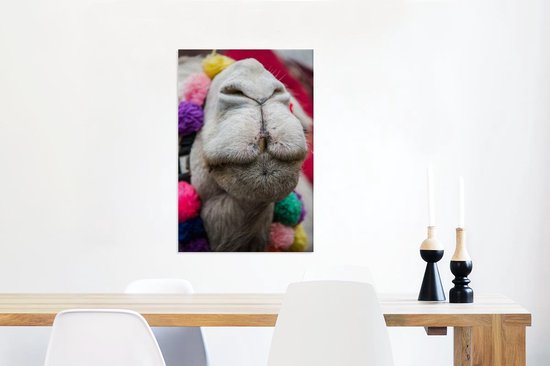 Gros plan d'une toile 2cm dromadaire 60x90 cm - impression photo sur toile peinture Décoration murale salon / chambre à coucher) / Animaux sauvages Peintures Toile