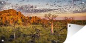 Tuinposter Baobab bomen tijdens zonsondergang in Oscar Range in Australië - 60x30 cm - Tuindoek - Buitenposter