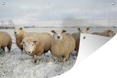 Tuindecoratie Groep nieuwsgierige schapen - 60x40 cm - Tuinposter - Tuindoek - Buitenposter