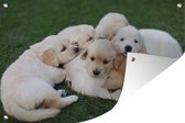 Tuindecoratie Dieren - Puppy's - Honden - 60x40 cm - Tuinposter - Tuindoek - Buitenposter