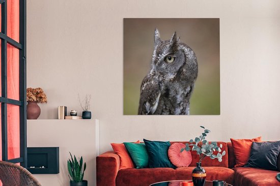 Gros plan d'un petit hibou sur toile 160x120 cm - Tirage photo sur toile (Décoration murale salon / chambre) XXL / Groot format!