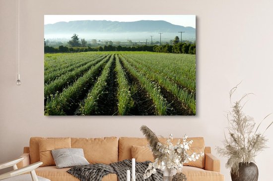 Canvas schilderij 150x100 cm - Wanddecoratie Uien in het veld met uitzicht op de bergen - Muurdecoratie woonkamer - Slaapkamer decoratie - Kamer accessoires - Schilderijen