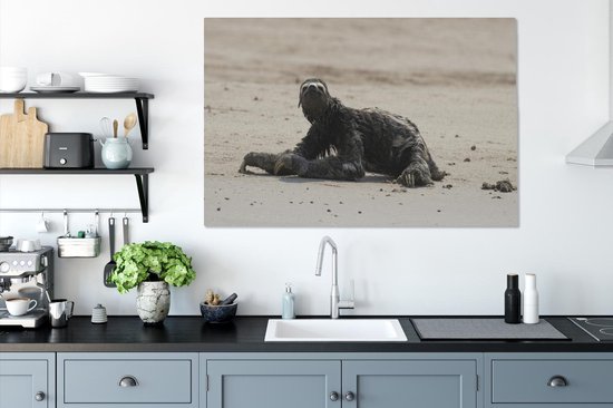 Paresseux sur la plage dans le parc national de Manu au Pérou Toile 120x80 cm - Tirage photo sur toile (Décoration murale salon / chambre)