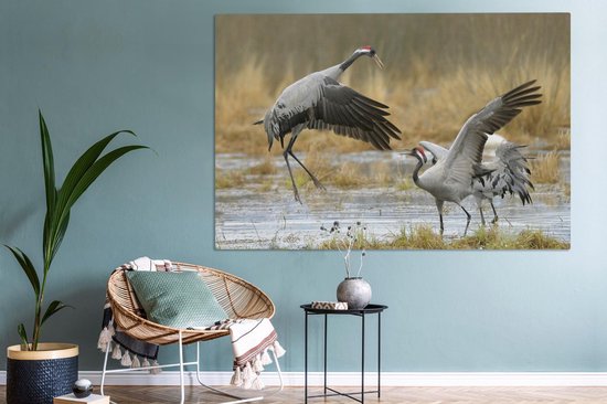 Grues européennes en eaux peu profondes Toile 180x120 cm - Tirage photo sur toile (Décoration murale salon / chambre) XXL / Groot format!