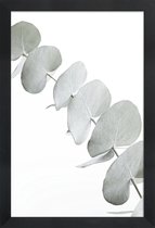 JUNIQE - Poster in houten lijst Eucalyptus White 3 -20x30 /Groen & Wit