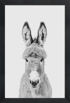 JUNIQE - Poster met houten lijst Donkey Classic -13x18 /Wit & Zwart