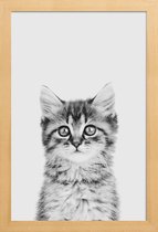 JUNIQE - Poster in houten lijst Kitten Classic -40x60 /Wit & Zwart