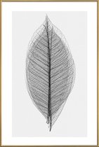 JUNIQE - Poster met kunststof lijst Skeleton of a Leaf -40x60 /Wit &