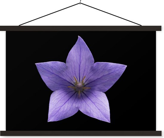 Affiche textielposter Fleur violette en forme d'étoile sur fond noir lattes  noires... | bol.com