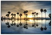 Zon komt op achter de palmen - Foto op Akoestisch paneel - 150 x 100 cm