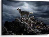 Canvas  - Huilende Wolf op Rots - 100x75cm Foto op Canvas Schilderij (Wanddecoratie op Canvas)