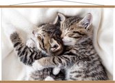Schoolplaat – Knuffelende Kittens tijdens Dutje - 120x80cm Foto op Textielposter (Wanddecoratie op Schoolplaat)