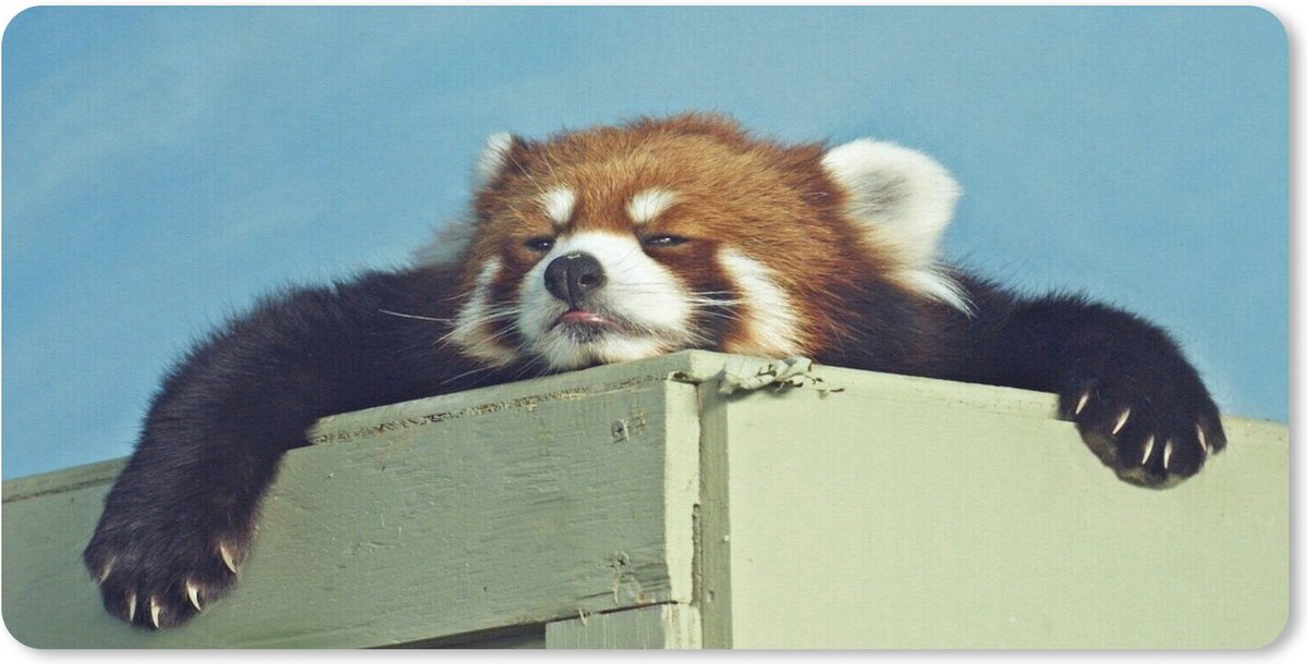 Muismat Vrije Dieren - Rode panda pakt zijn rust muismat rubber - 27x18 cm - Muismat met foto