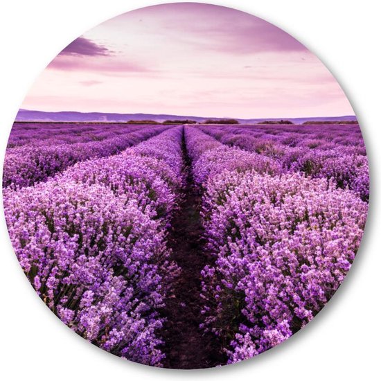 Bloeiend lavendelveld onder de paarse kleuren van de zonsondergang - Muurcirkel 40cm - Wandcirkel voor buiten - Aluminium Dibond - Landschap - Natuur - Bloemen