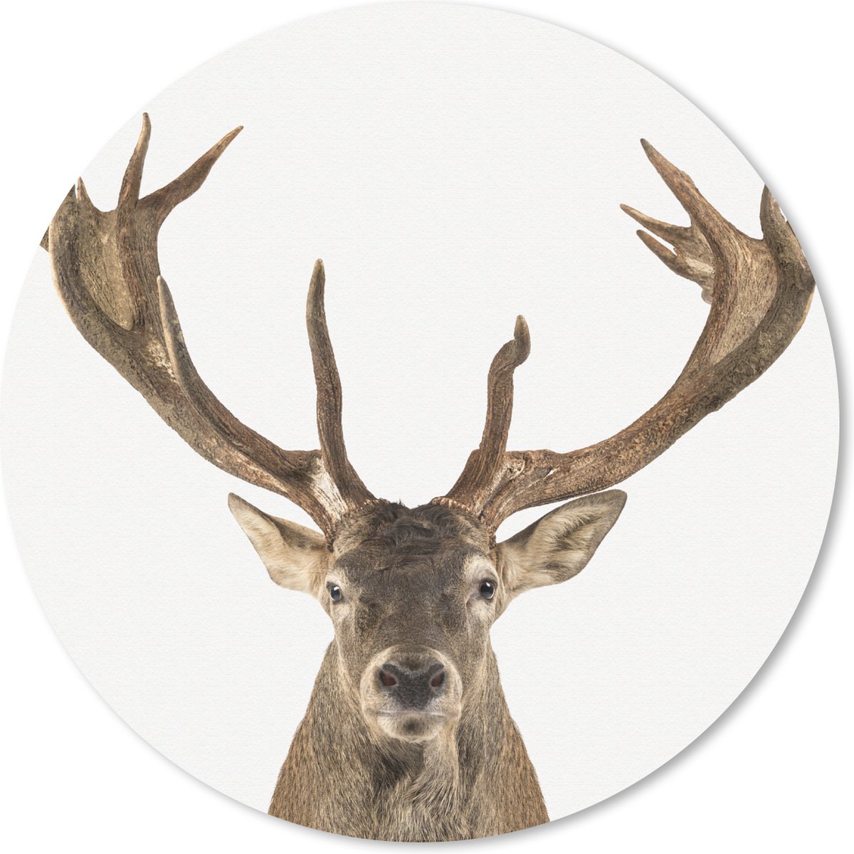 Muismat Animalprintshop - Hert - Portret dierenprint Muismat rond - 20x20 cm - Muismat met foto