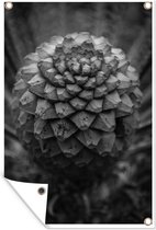 Tuindecoratie Zwart-wit foto van een sagopalm - 40x60 cm - Tuinposter - Tuindoek - Buitenposter
